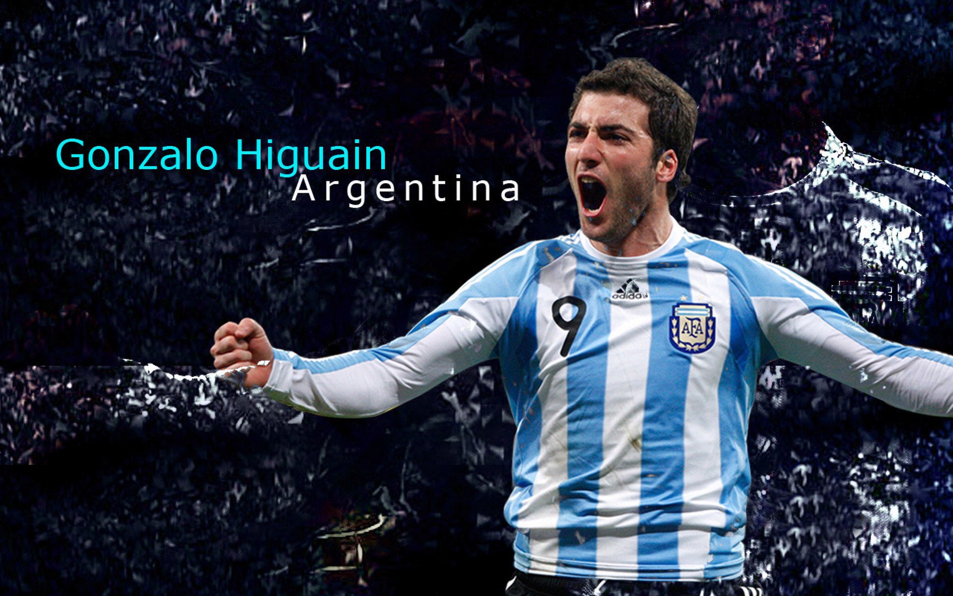 美国马术协会开展马匹福利宣传活动，提升公众意识。，美国马术运动员